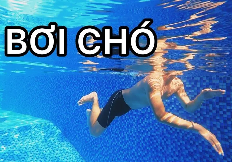 bơi chó là gì