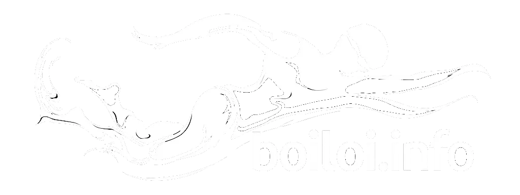 Boiloi.info