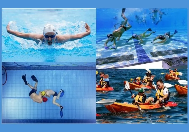 các môn thể thao dưới nước