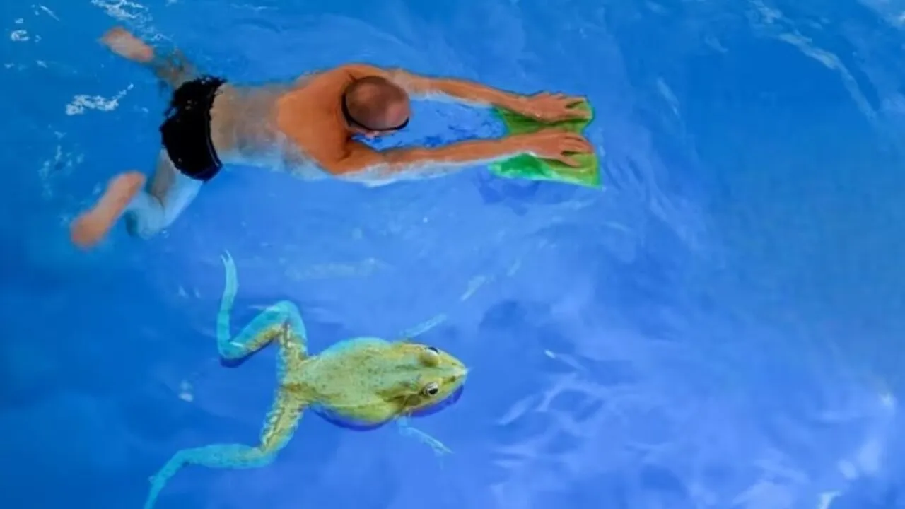 cách thở khi bơi ếch